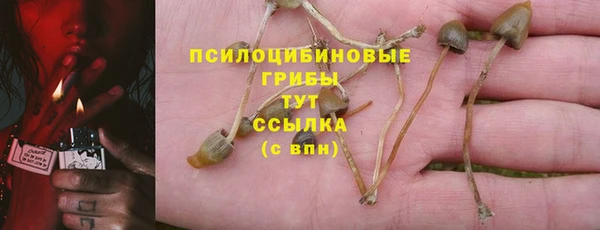 бошки Абдулино